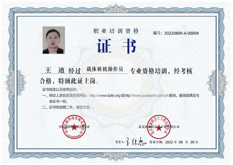 王迪